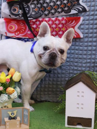 20230523ブーくん